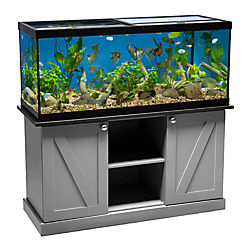 aquarium