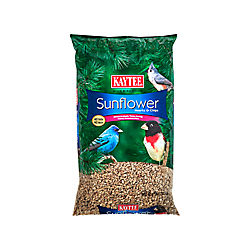 bird food